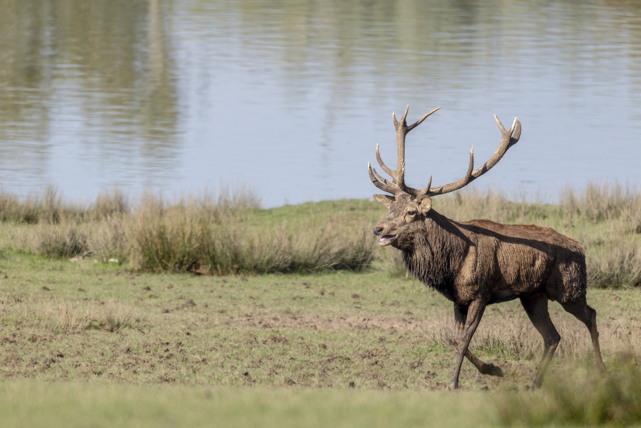 Parc Animalier de st-Croix en Moselle.