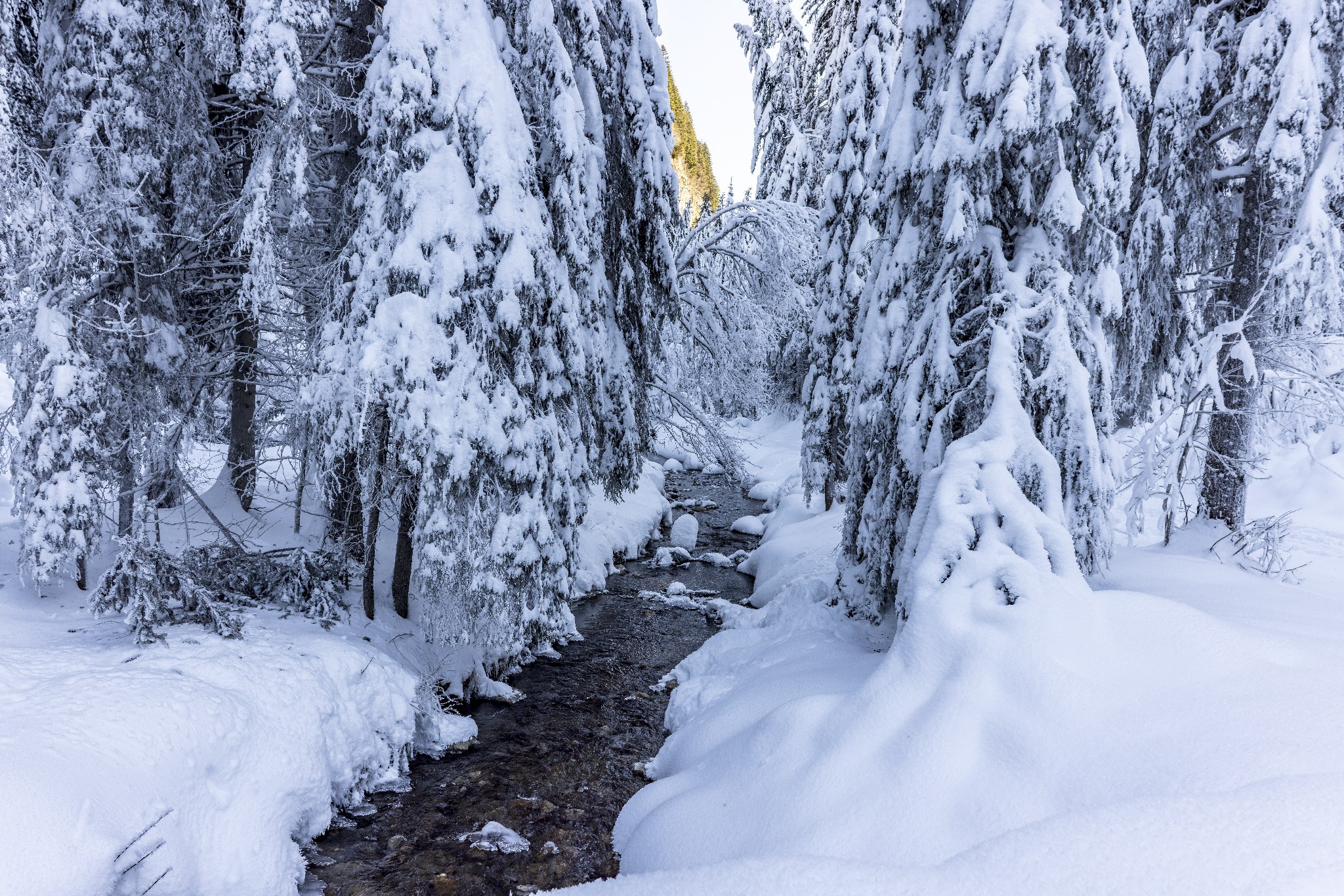 Entre neige et silence