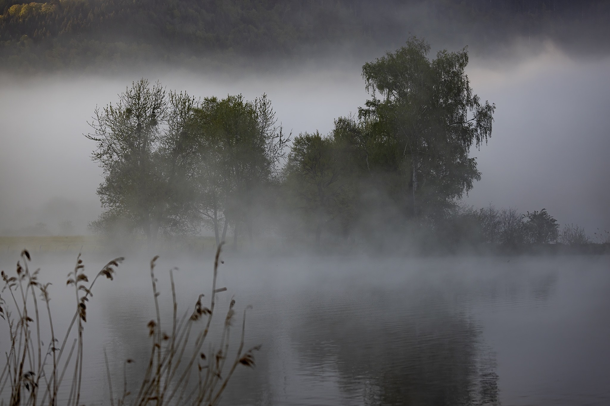 Lac du Môle