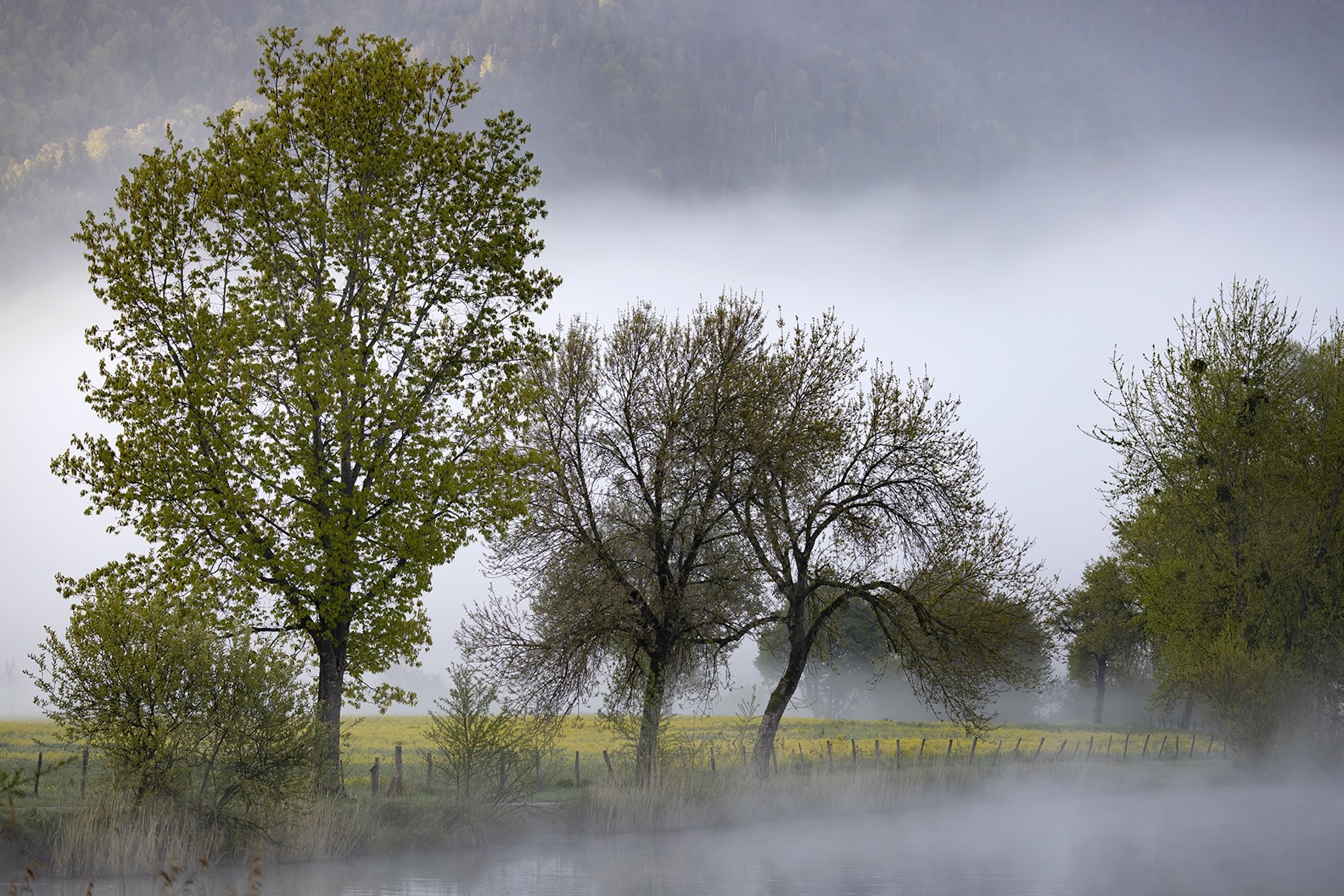Lac du Môle
