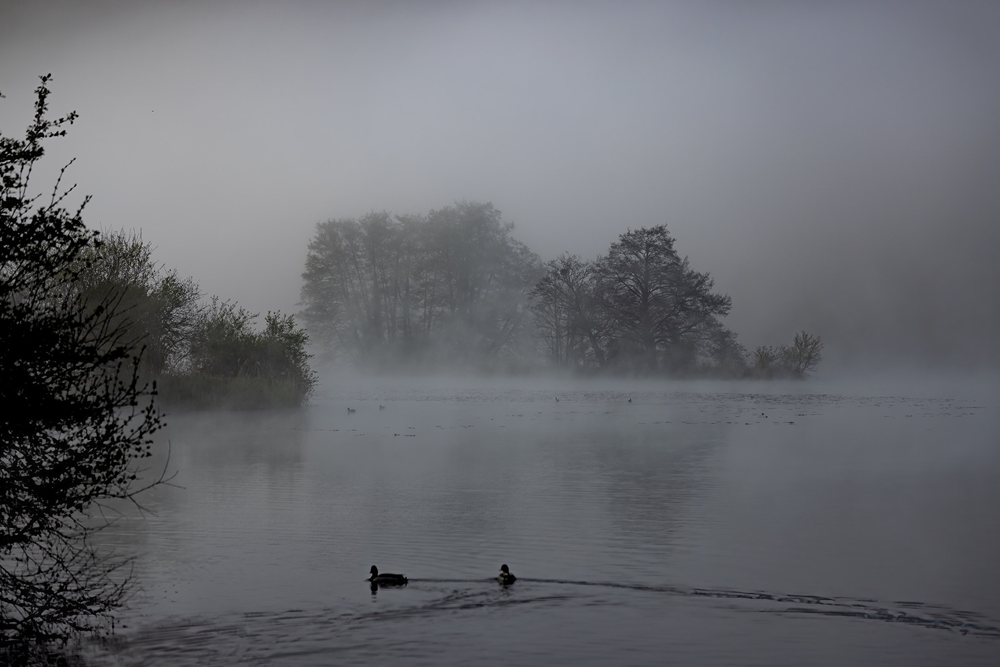 Lac du Môle