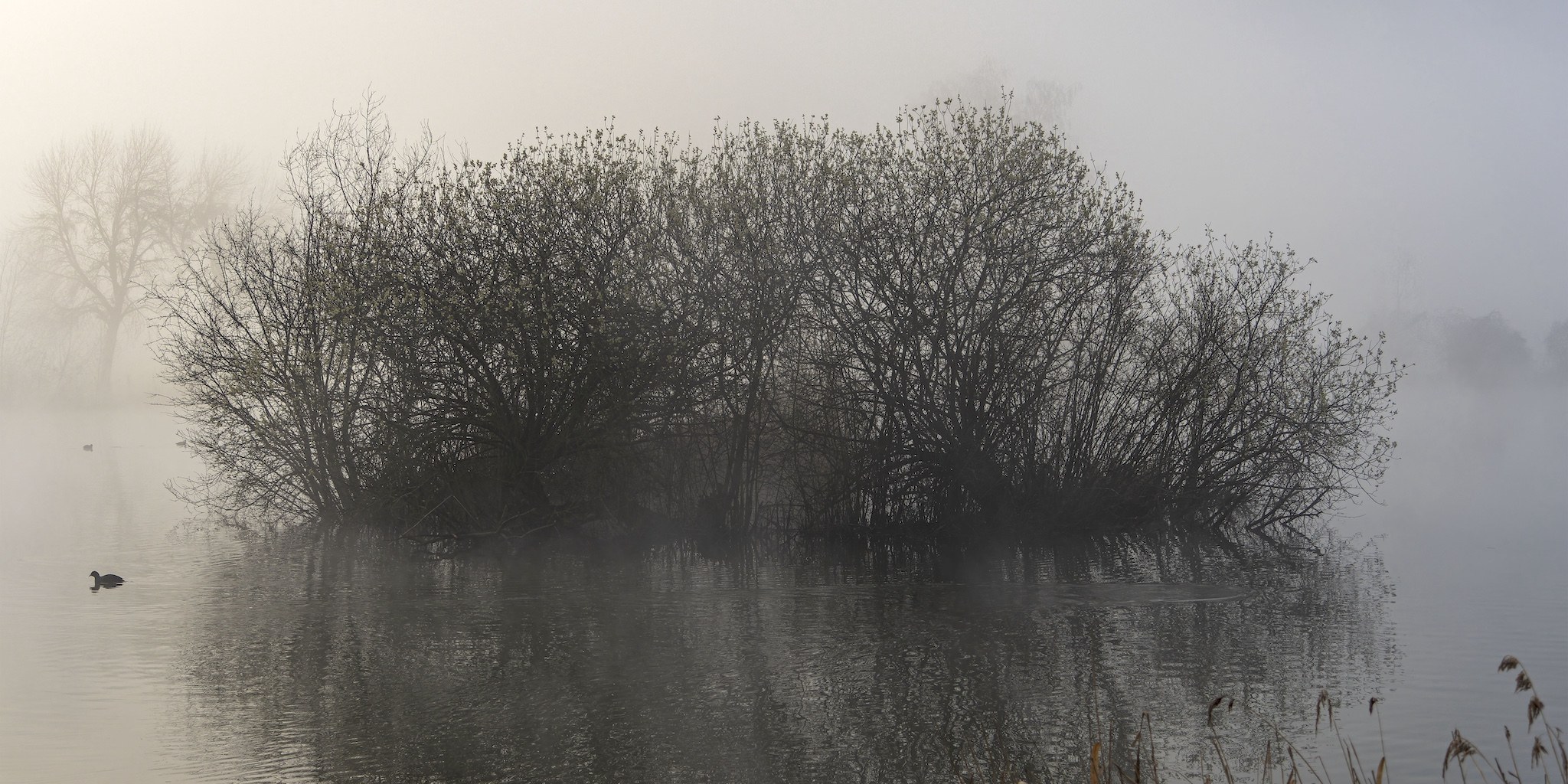 Lac du Môle