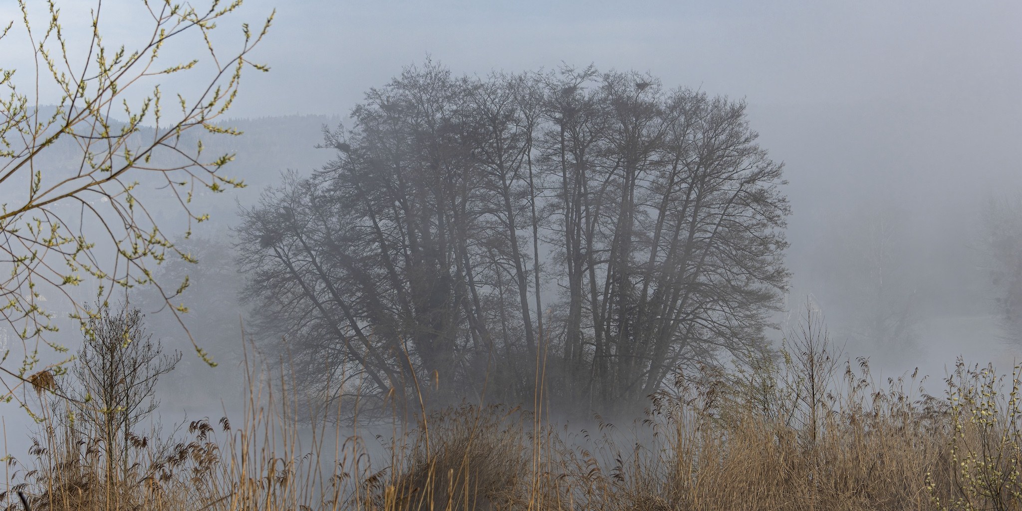 Lac du Môle