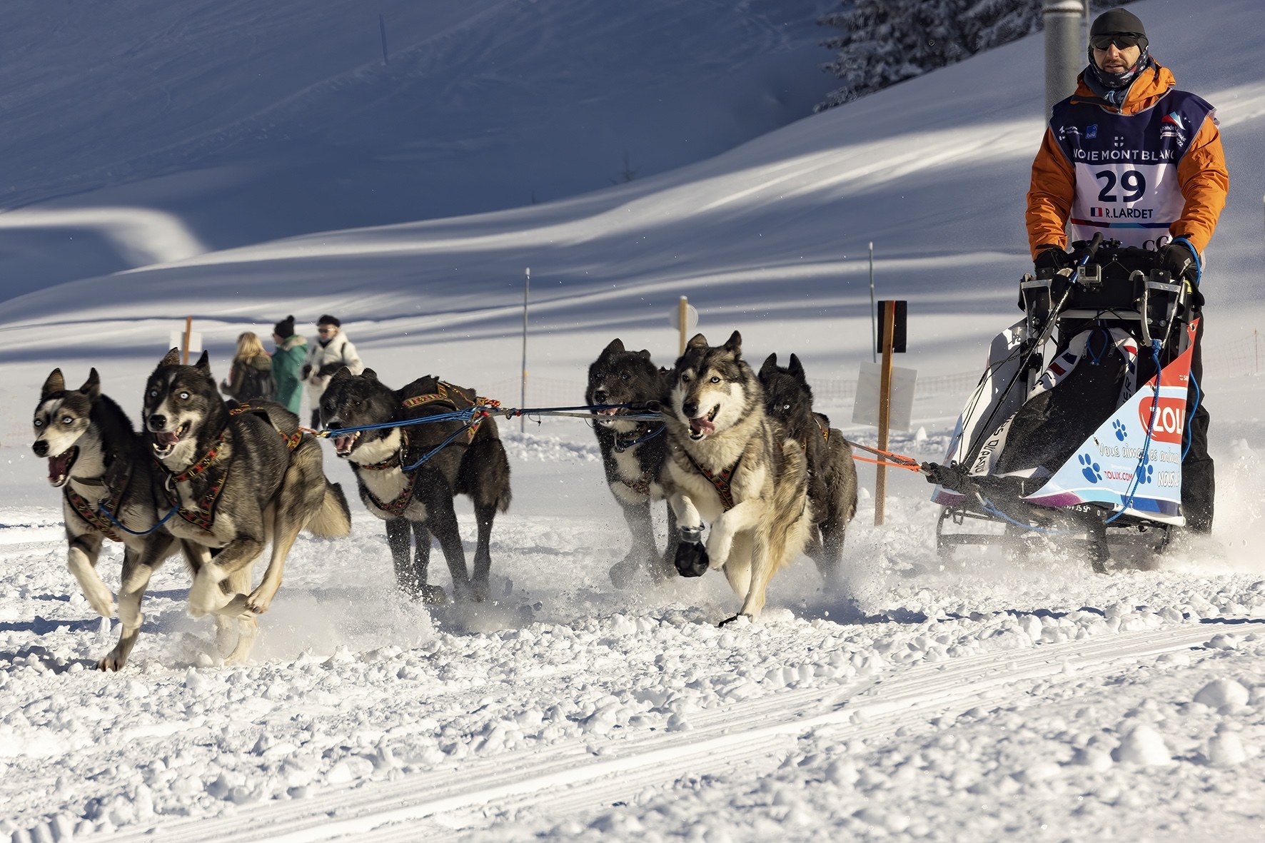 l'Appel du Grand Nord.