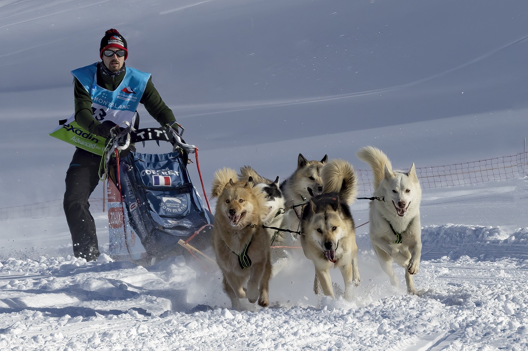 l'Appel du Grand Nord.