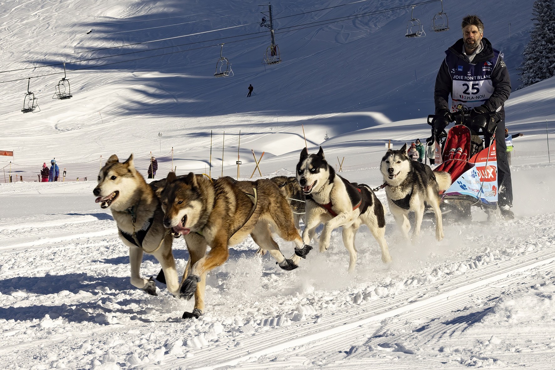 l'Appel du Grand Nord.