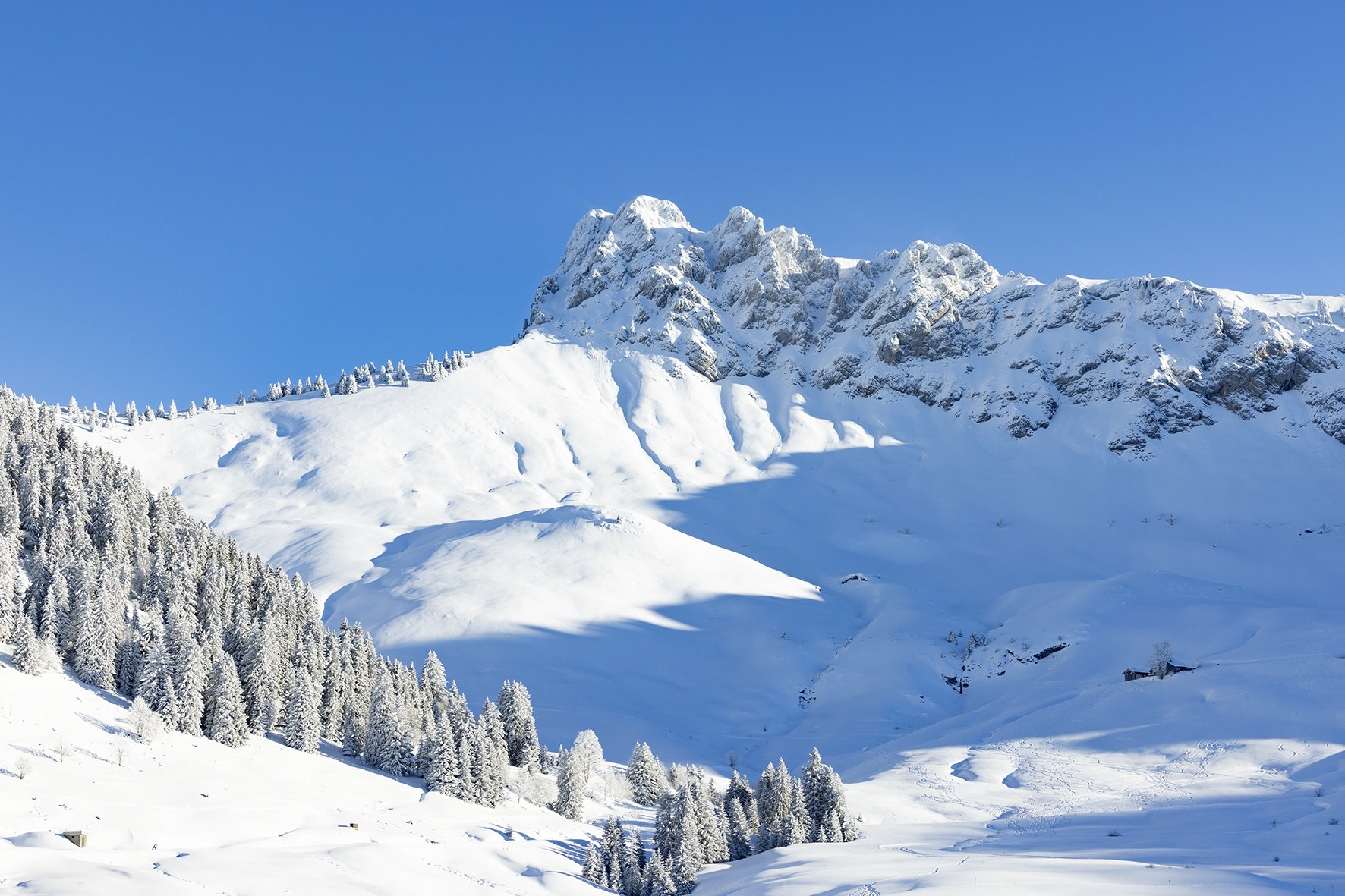 l'Appel du Grand Nord.