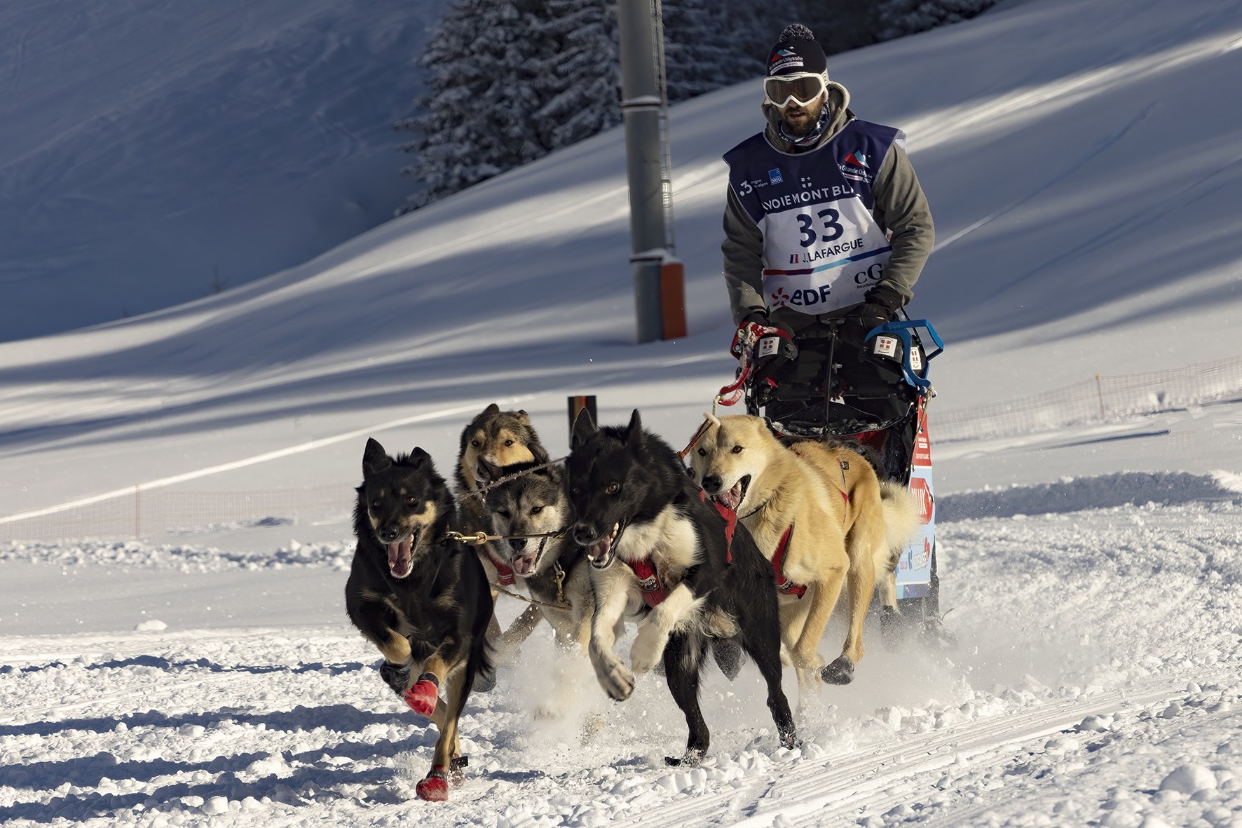 l'Appel du Grand Nord.