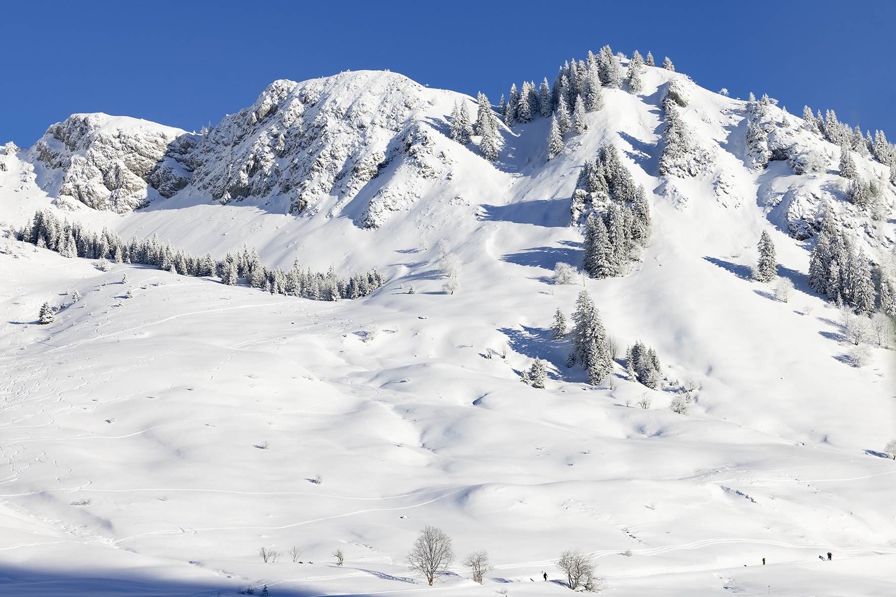 l'Appel du Grand Nord.