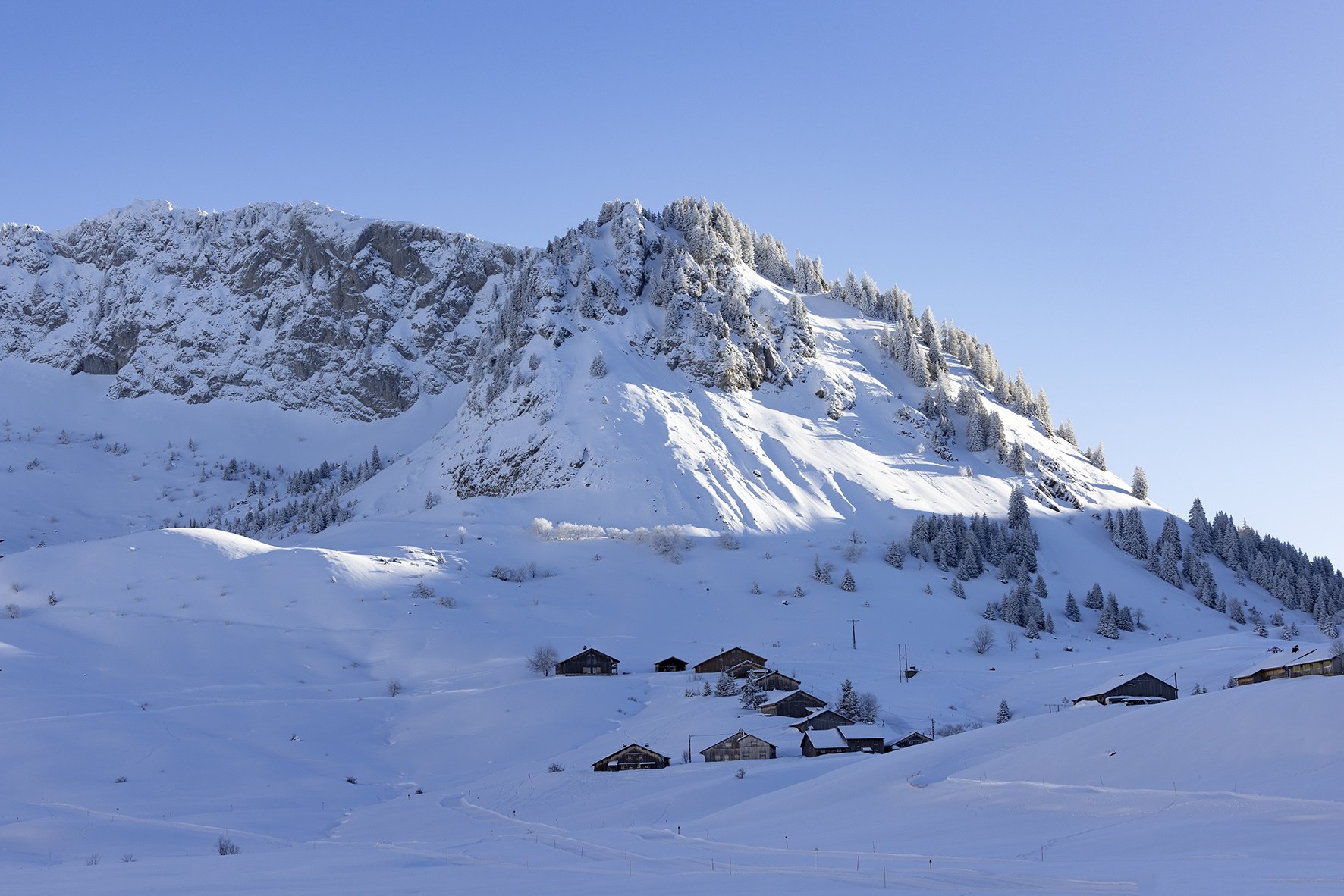 l'Appel du Grand Nord.