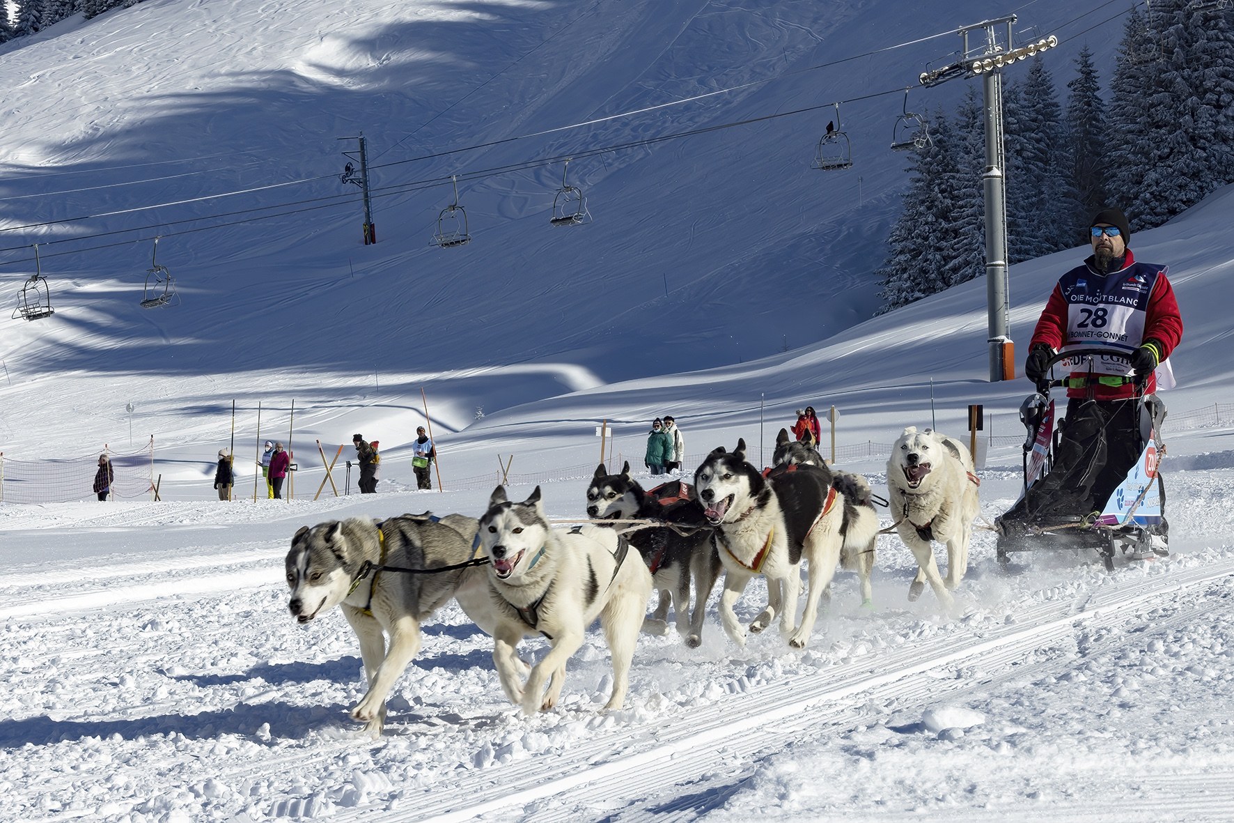 l'Appel du Grand Nord.
